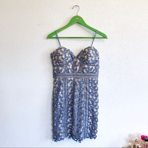 Periwinkle and tan lace overlay dress